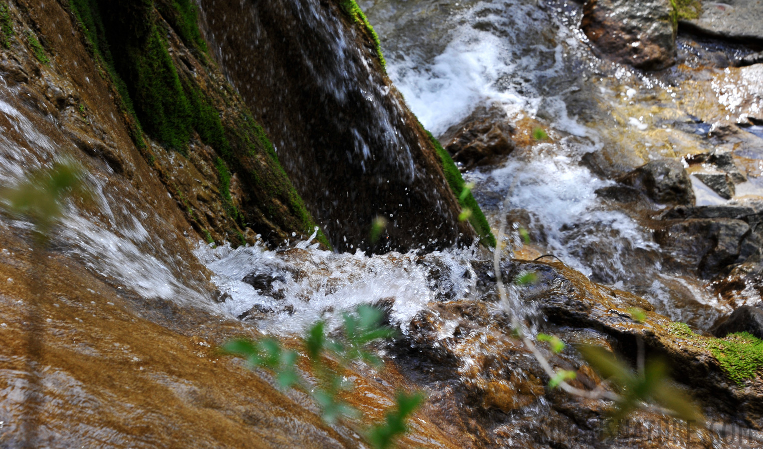 Mountain stream in the 'Gore Virat' [135 mm, 1/100 sec at f / 10, ISO 800]